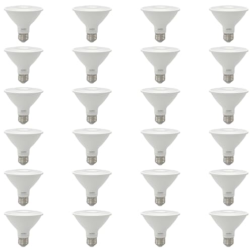 Reflector PAR30 LED Bulb (24 Count)