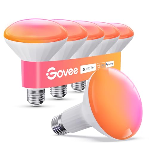 BR30 Smart Light Bulbs 850 LM (6 Count)