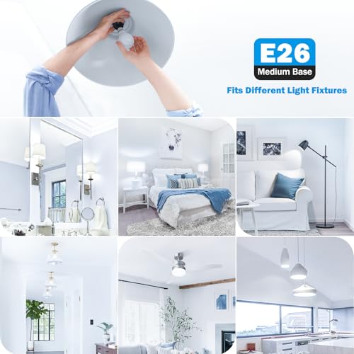 A19 LED Light Bulb 60W Equivalent (4 Count)
