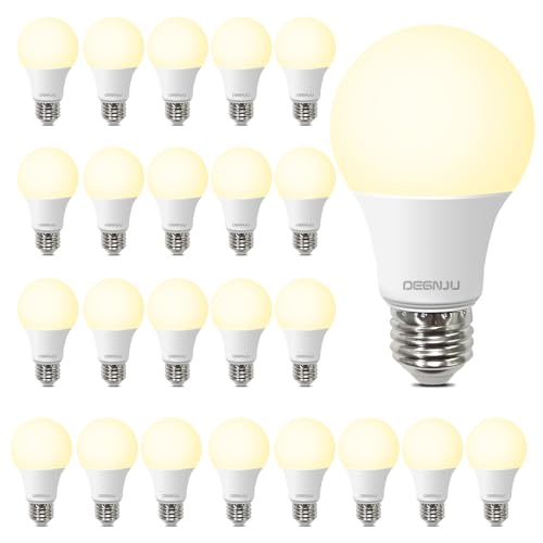 LED Light Bulbs (24 Count)