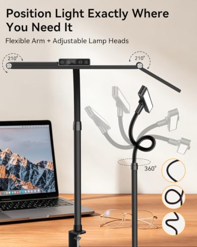 LED Desk Lamp with Clamp