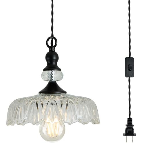 Plug in Glass Pendant Light Fixture Black Vintage Adjustable Chandelier Hanging Ceiling Light for Farmhouse Hallway Bedroom Foyer Kitcken Dining Room Island