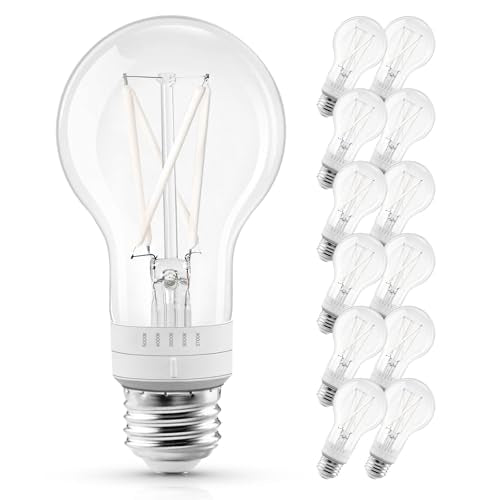 Vintage A19 LED Light Bulb 60 Watt Equivalent (12 Count)
