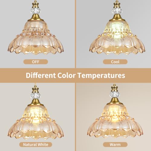 1 Piece Vintage Chandelier in Brushed Gold Finish with Amber Flower (1-Light / Gold and Amber)