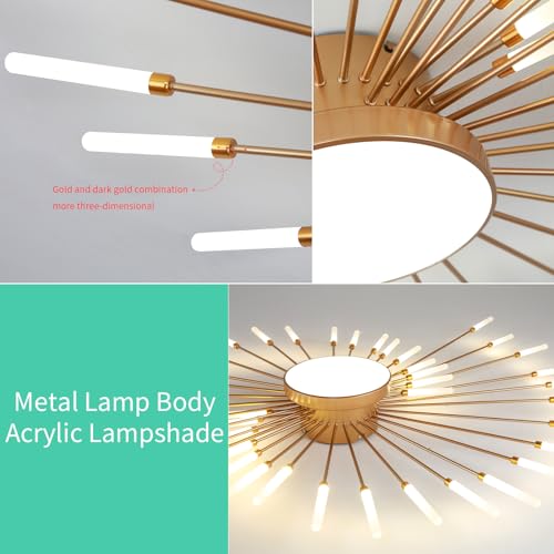 Modern Ceiling Light