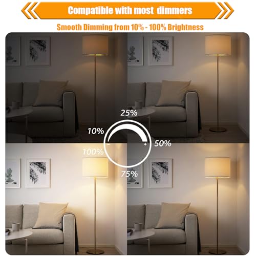 12 Pack Dimmable LED Edison Bulbs 40W Equivalent (12 Count)