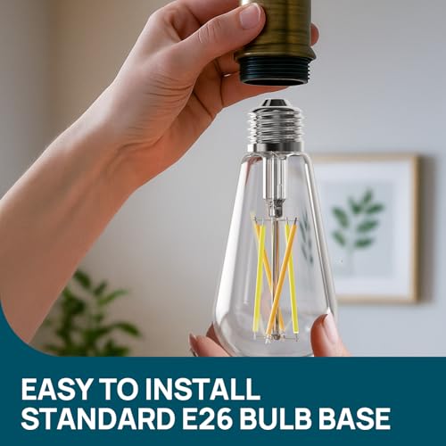 Smart Edison Light Bulb (6 Count)