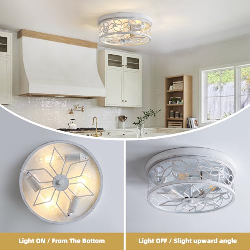 12.6" Gold Accent Flush Mount Ceiling Light (White+Gold)