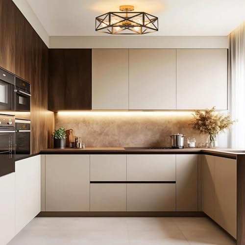 Modern Farmhouse Black and Gold Semi Flush Mount Ceiling Light 19.7 in