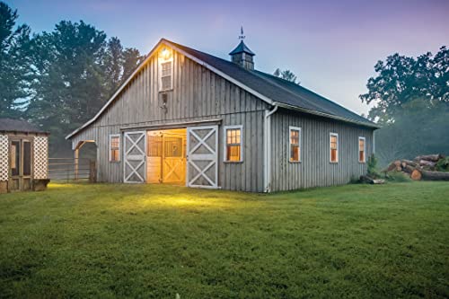 BarnGuard LED Barn Light
