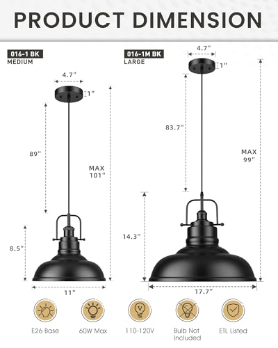 Modern Hanging Light Fixture