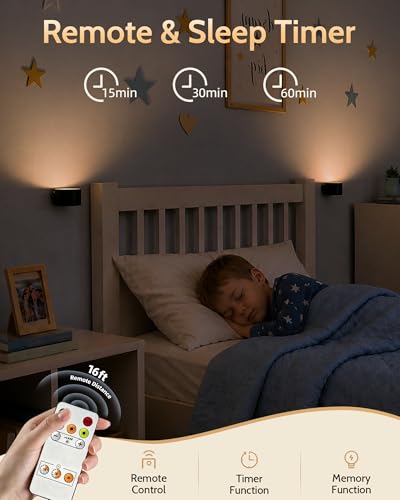 LED Wall Mounted Lights (2 Count)