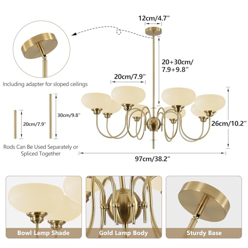 French Chandelier 8