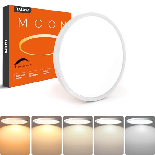 Dimmable Flush Mount Ceiling Light