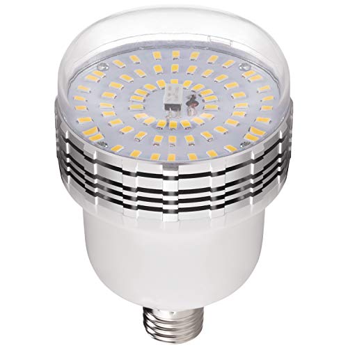 uLite LED 2 Light Umbrella Continuous Lighting Kit