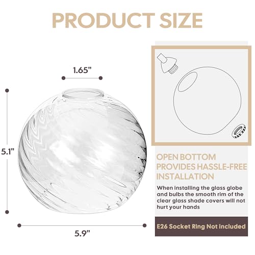 2 Pack Lamp Globe Glass Shade (2 Count)