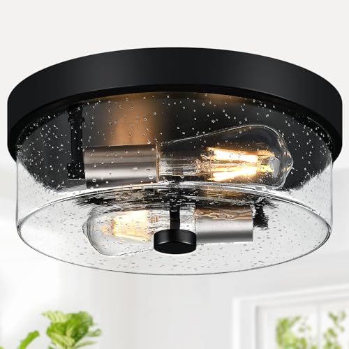 Flush Mount Ceiling Light Fixtures