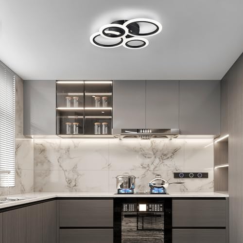 Modern LED Ceiling Light
