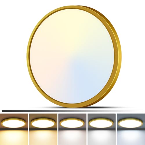 1Pack LED Flush Mount Ceiling Light