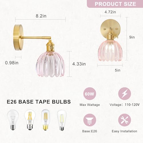 Hardwired Wall Sconce Light