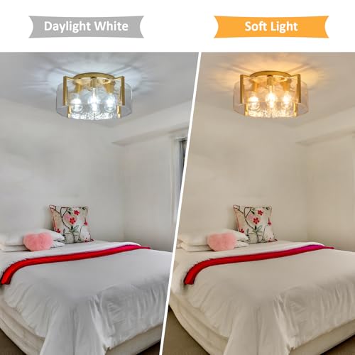 Semi Flush Mount Ceiling Light Fixture