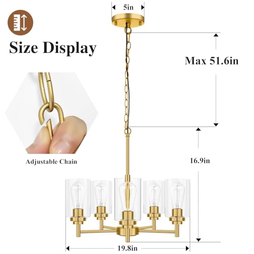 D19.8" Chandelier for Dining Room