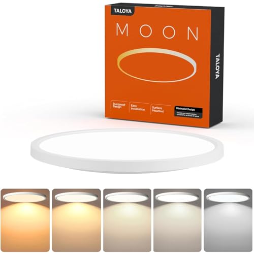 10 Inch LED Flush Mount Ceiling Light Fixture