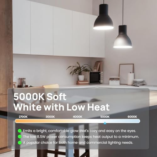 A19 LED Light Bulb (24 Count)