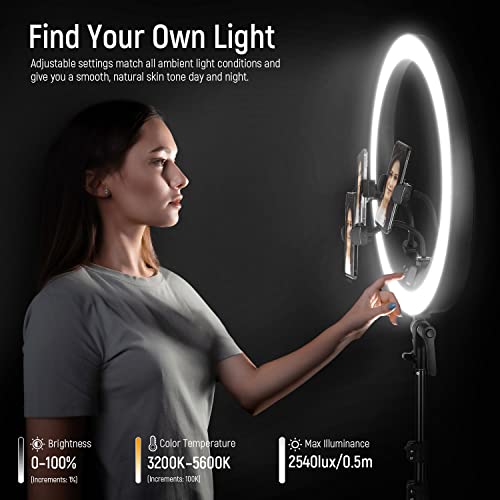 19 inch 2.4G Ring Light with Stand
