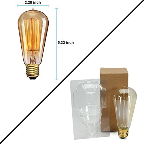 Vintage Edison Light Bulbs (2 Count)