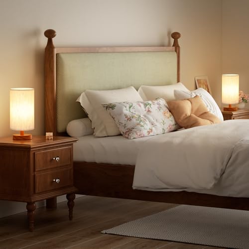 Desk Small Lamps Set of 2 (2 Count)