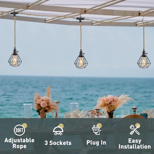 3 Light Hanging Light with Plug in Cord