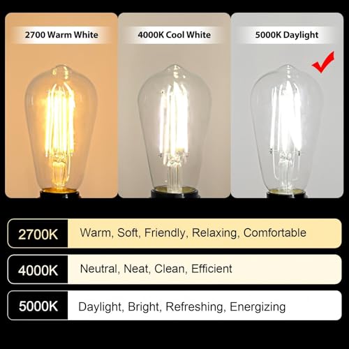 Vintage LED Edison Bulbs (4 Count)