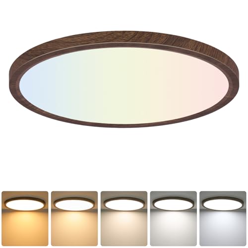 12 Inch LED Flush Mount Ceiling Light Fixture