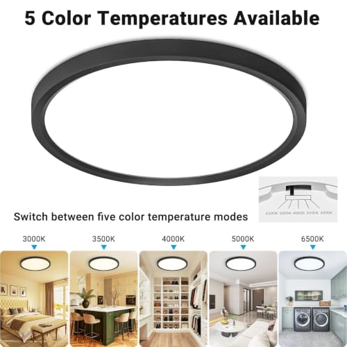 2Pack 12Inch LED Flush Mount Ceiling Light 5 Color Temperatures (2 Count)