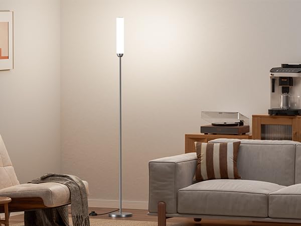 LED Floor Lamp with Remote Control