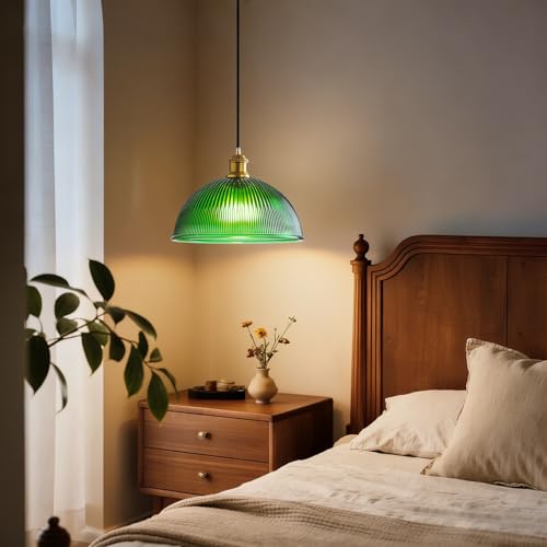 Plug in Pendant Light