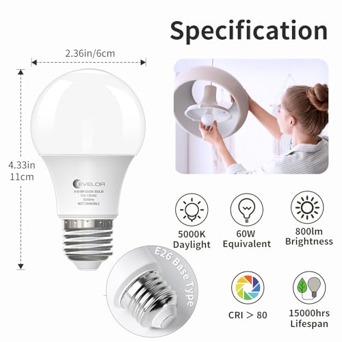 A19 LED Light Bulbs (12 Count)