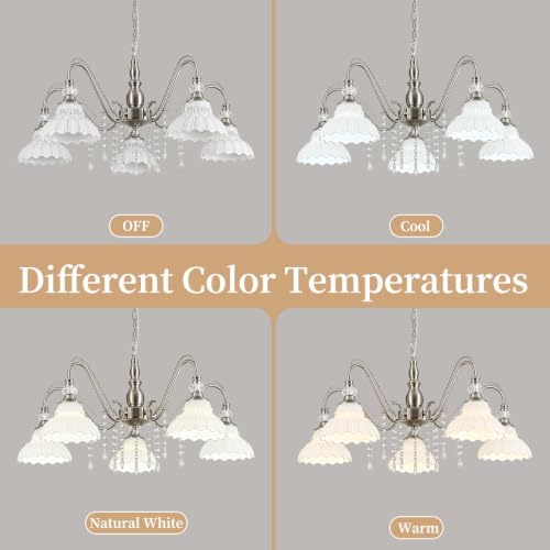 5 Light Chandelier in Brushed Nickel Finish with Flower (5-Light / Nickel and White)