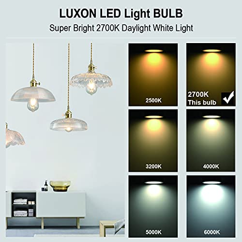 LED Edison Bulbs (4 Count)