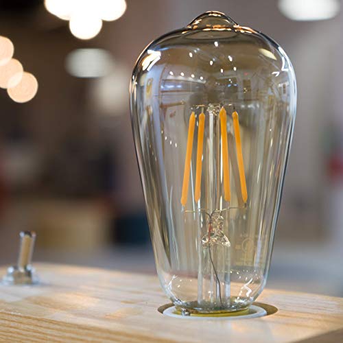 Hudson Vintage LED Edison 4W Bulbs (4 Count)