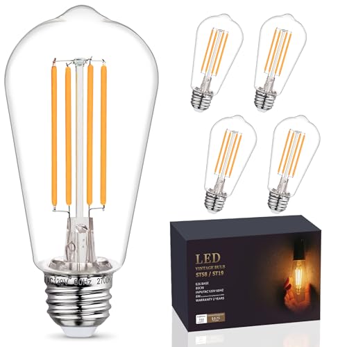 Edison Light Bulbs 60W Equivalent (5 Count)