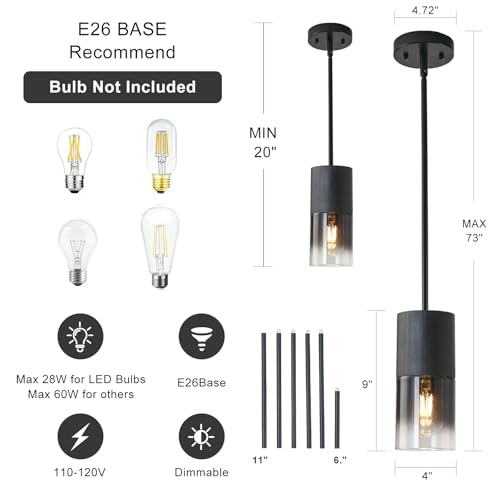 Pendant Light Fixtures (2 Count)
