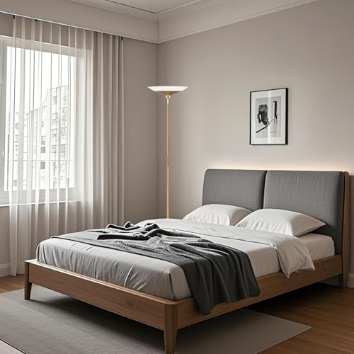 Torchiere Floor Lamp