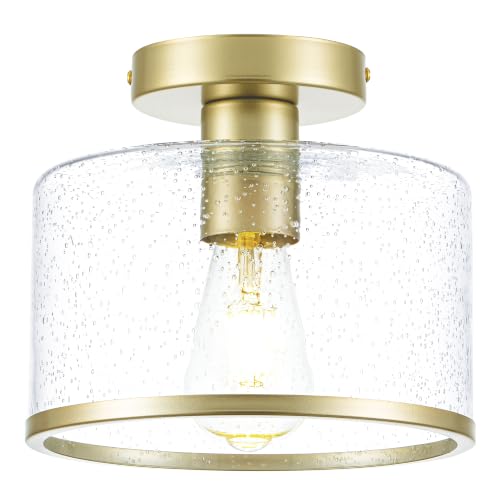 Modern Flush Mount Ceiling Light