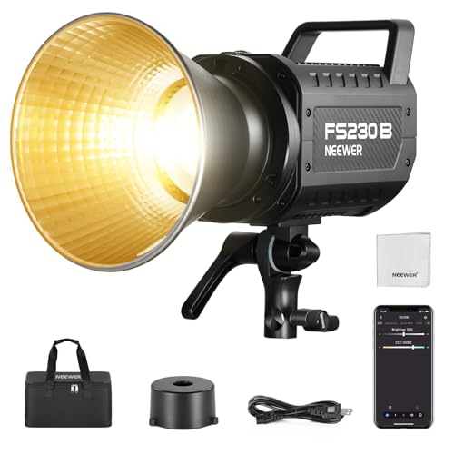 FS230B LED Studio Video Light