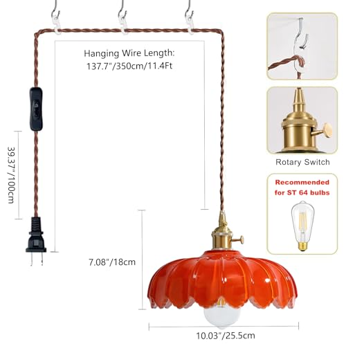Plug in Pendant Light