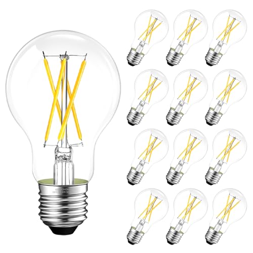 A19 E26 Edison Bulbs 60 watt Equivalent (12 Count)