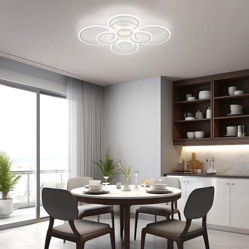 Modern LED Ceiling Light