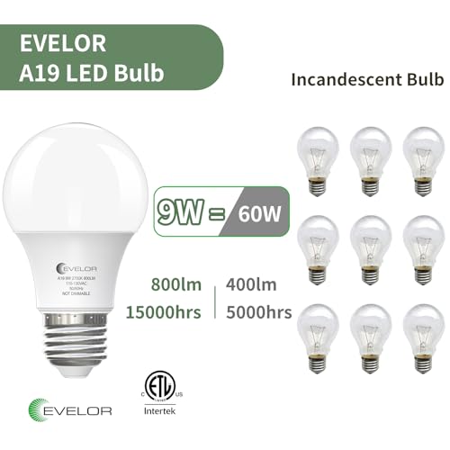 A19 LED Light Bulbs (4 Count)